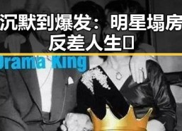 从沉默到爆发：明星塌房的反差人生 🍿