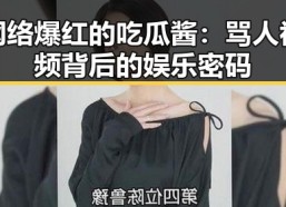 网络爆红的吃瓜酱：骂人视频背后的娱乐密码