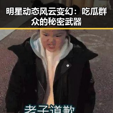 明星动态风云变幻：吃瓜群众的秘密武器