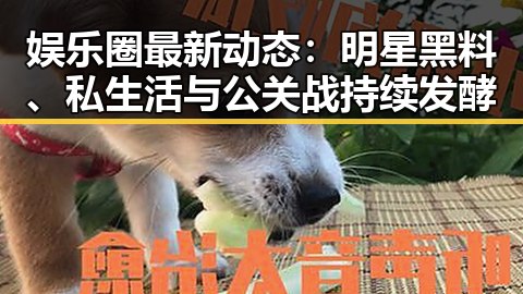 娱乐圈最新动态：明星黑料、私生活与公关战持续发酵