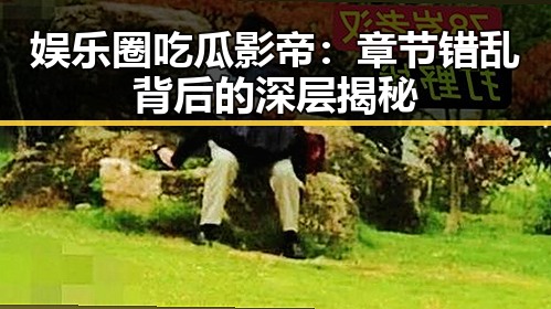 娱乐圈吃瓜影帝：章节错乱背后的深层揭秘